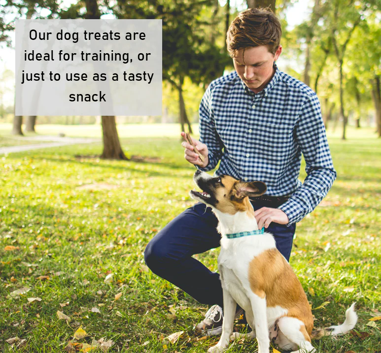 4-6mm Rawhide Twist Dog Chews - Image 6