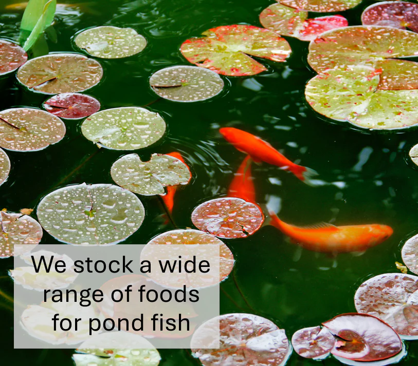 5mm Pond Pellets - Image 4