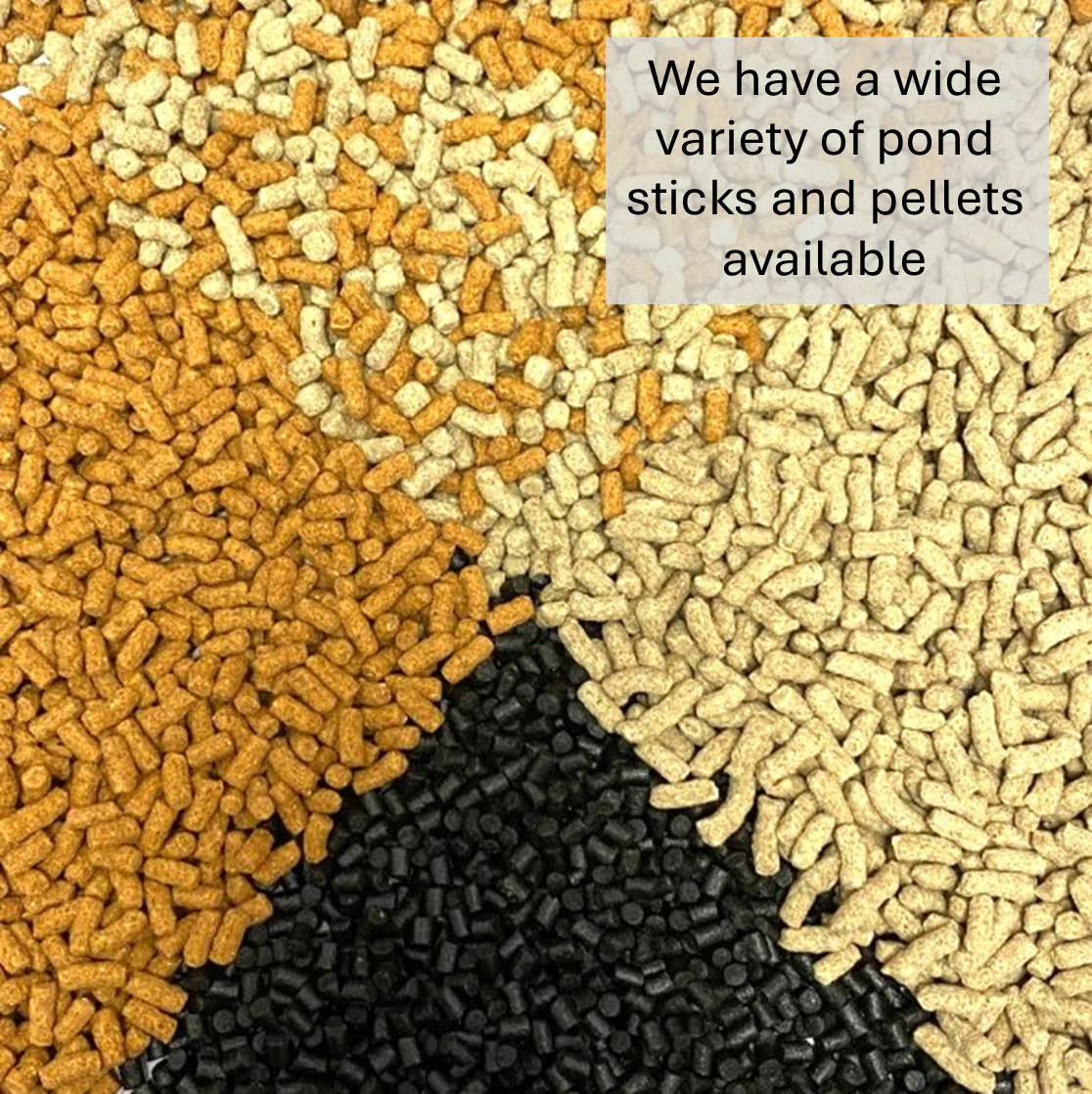 5mm Pond Pellets - Image 7