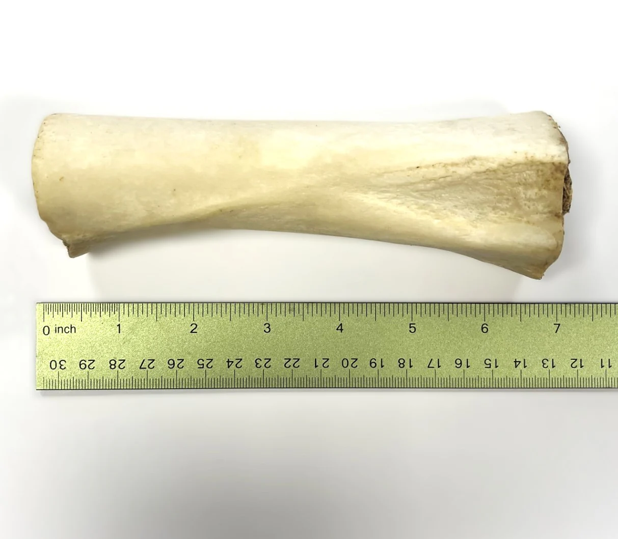 6 inch Meat filled Bones - Image 3