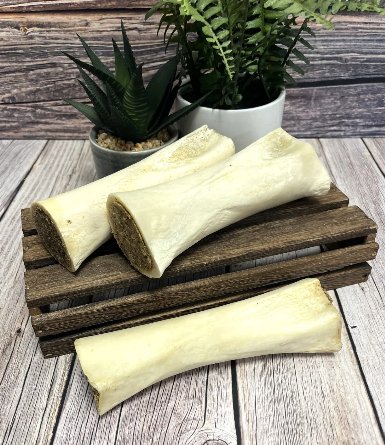 6 inch Meat filled Bones - Image 4