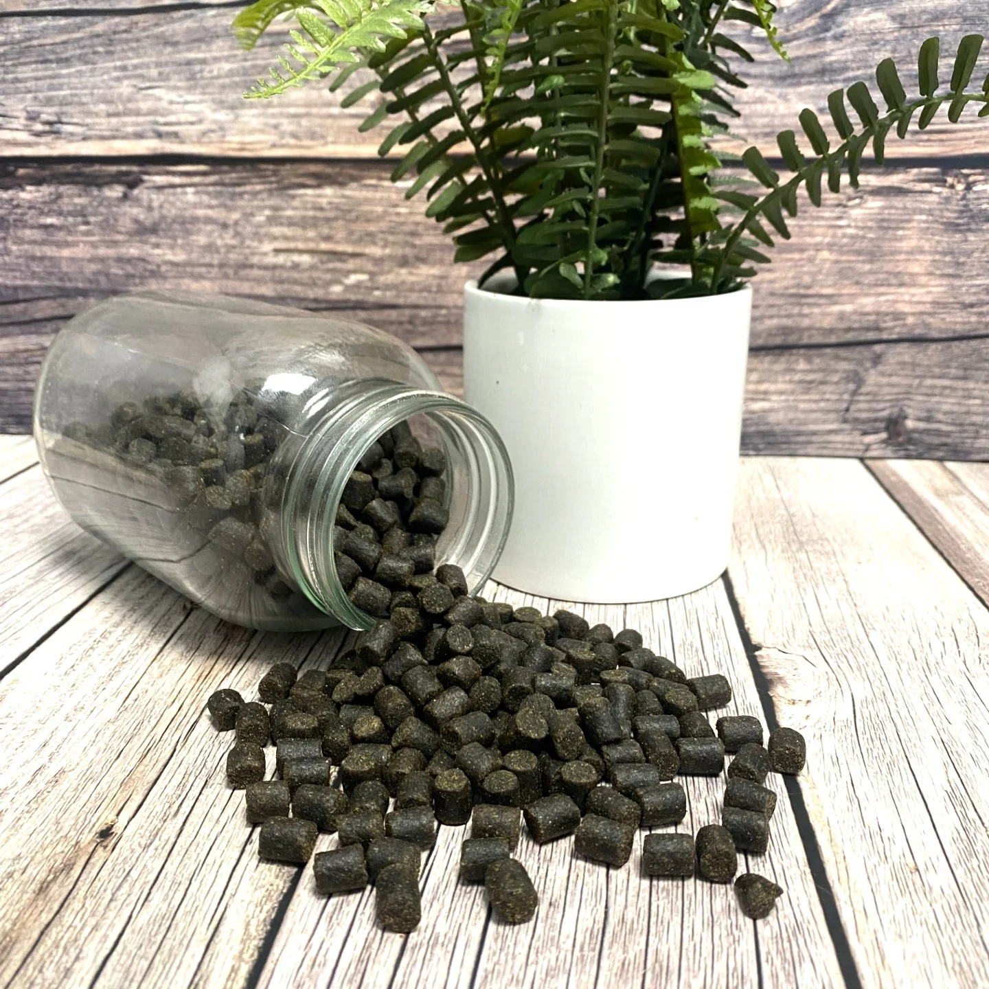 8mm High Oil Trout Pellets - Image 3