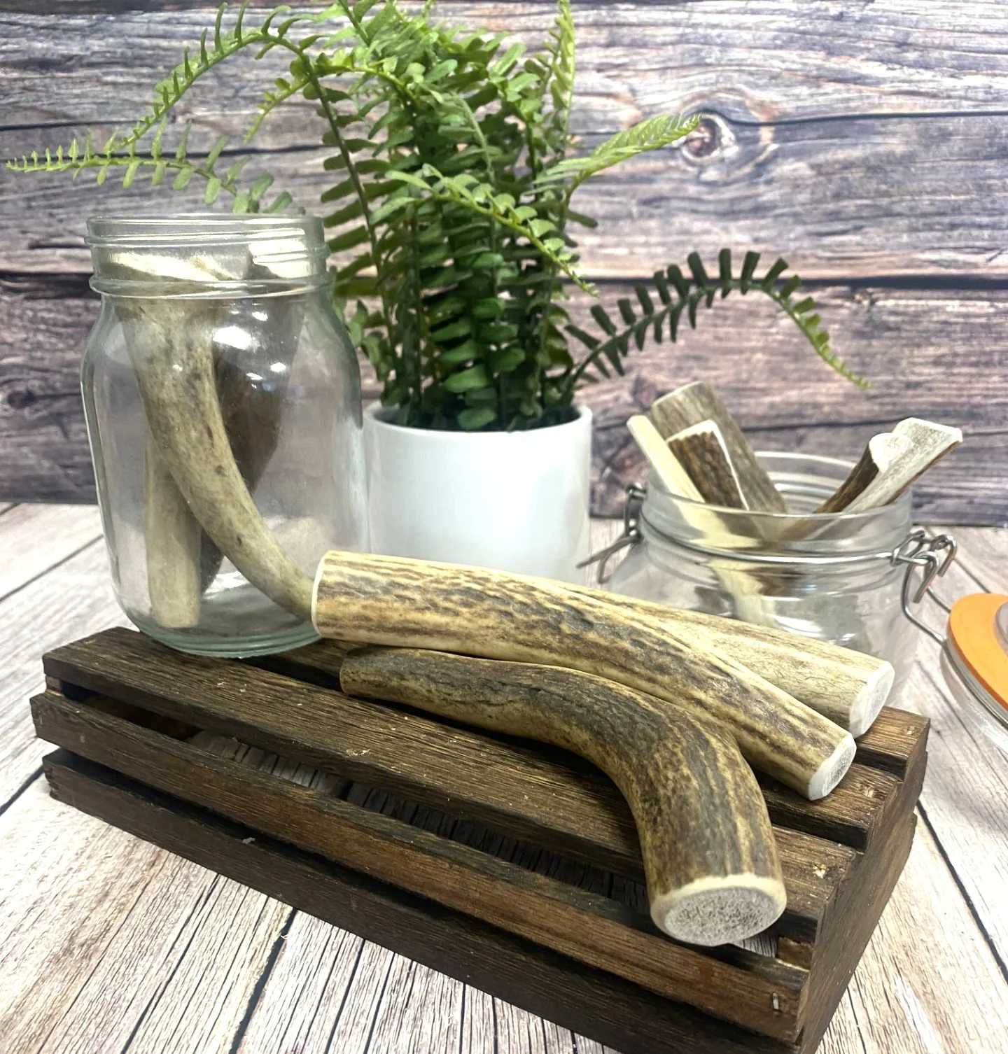 Antler Dog Chew Medium (Weight 75 - 149g) - Image 3