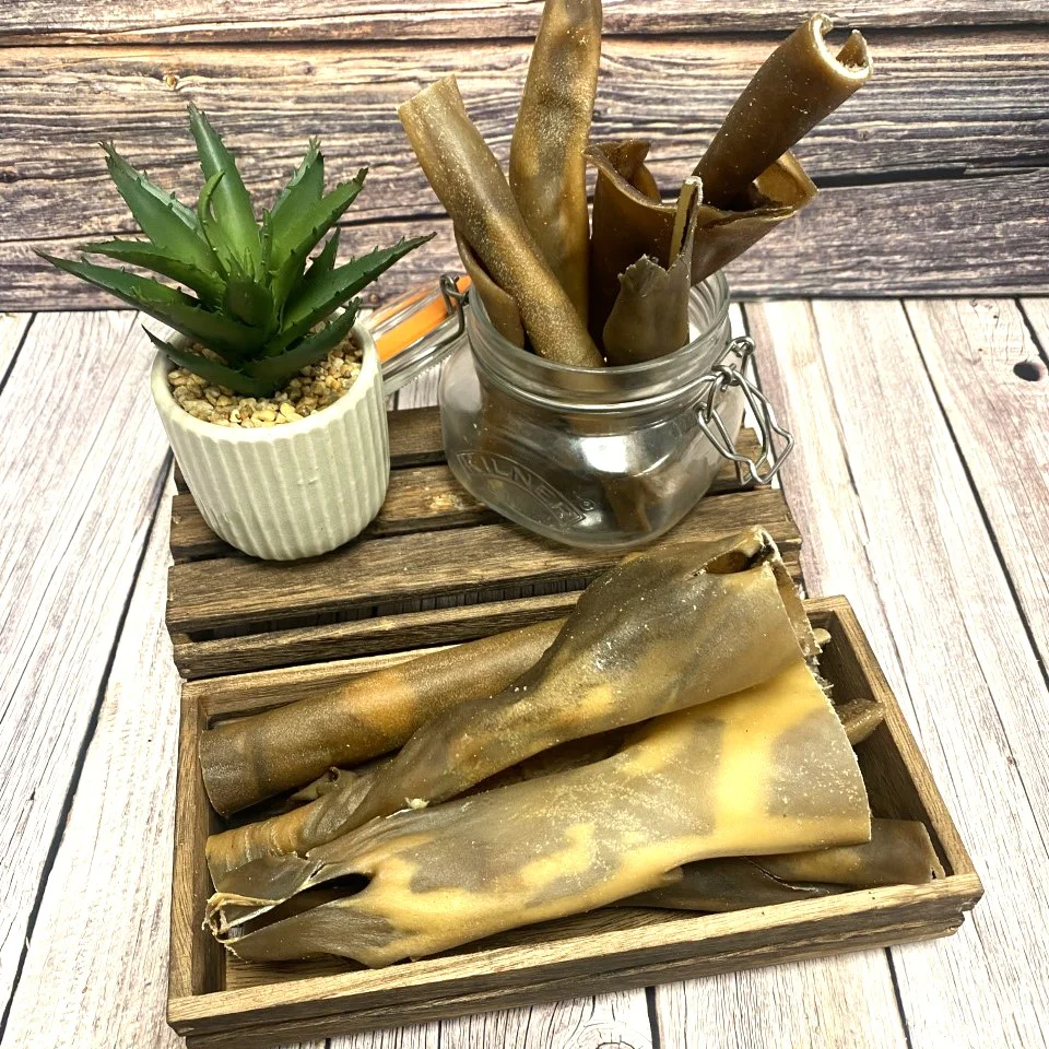 Camel Skin - Image 2