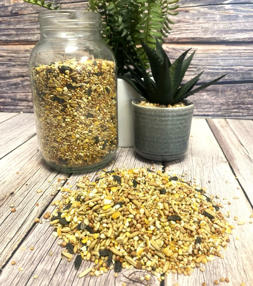 Everyday Wild Bird Food - Image 3