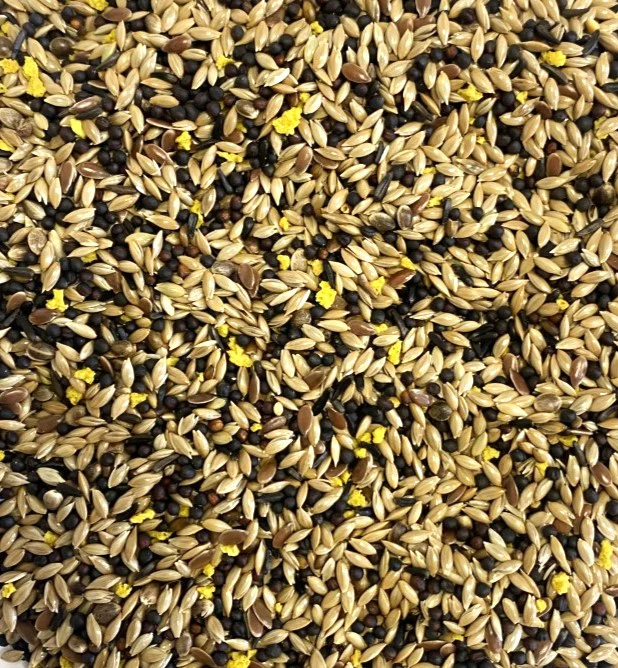 Favourite Mixed Canary Seed - Image 3