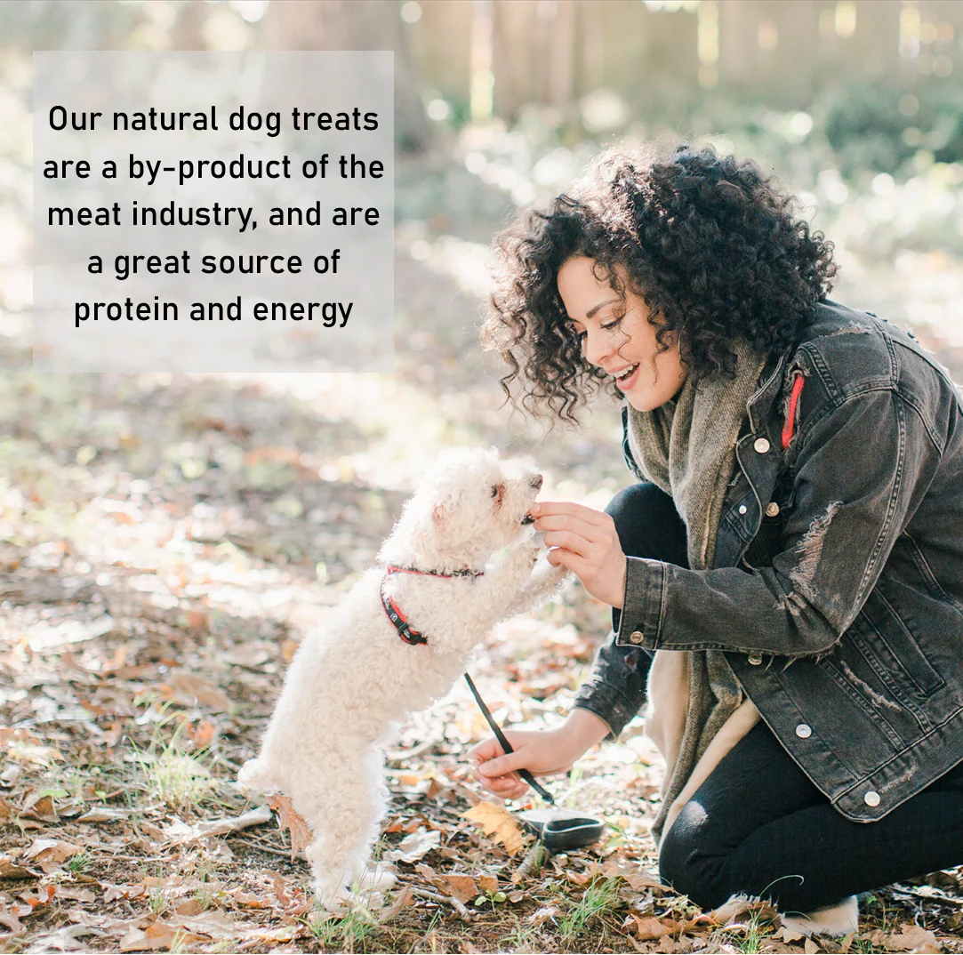 Fish Cubes - Image 3