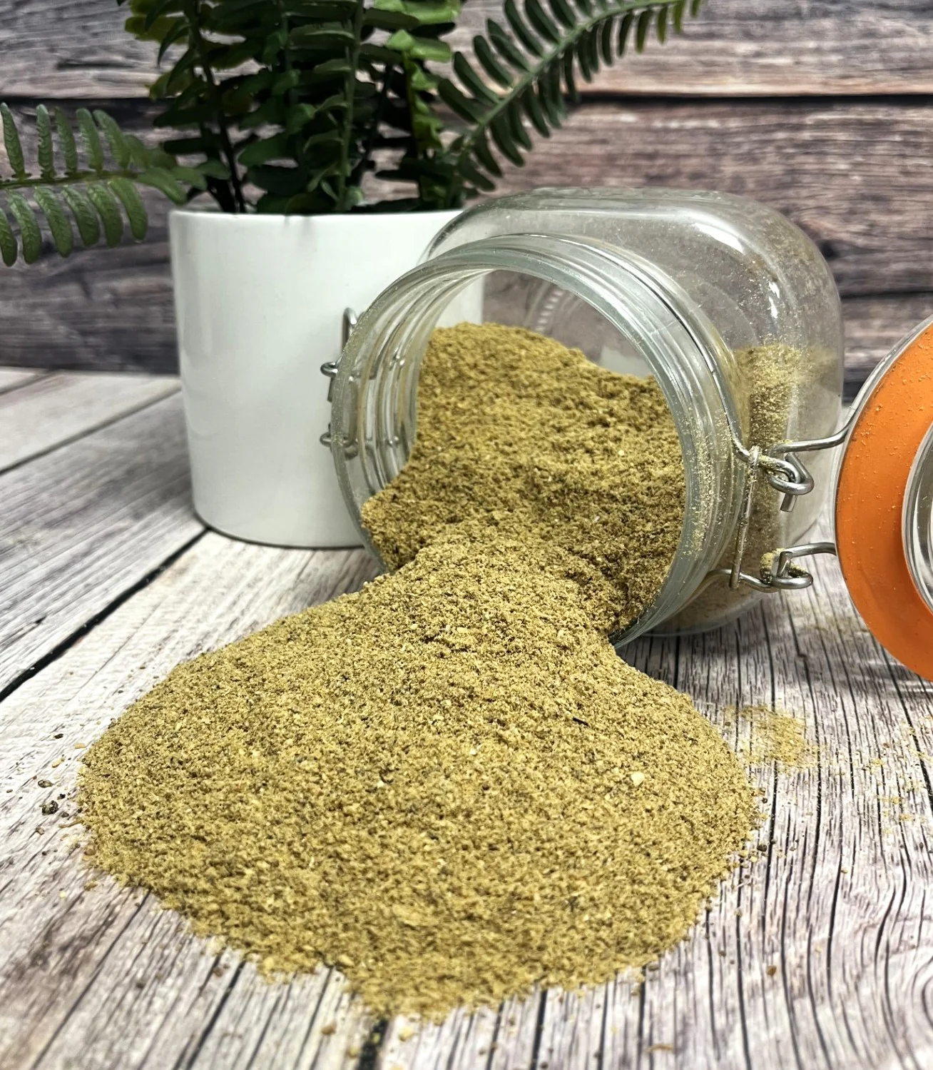 Fish Meal - Image 3