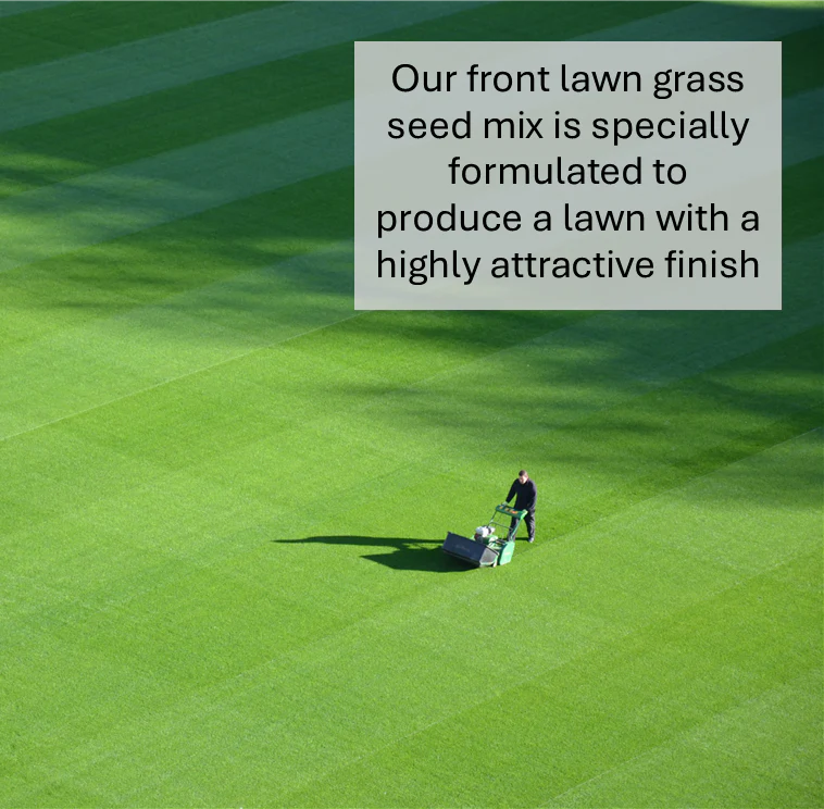 Front Lawn Grass Seed (HM2) - Image 3