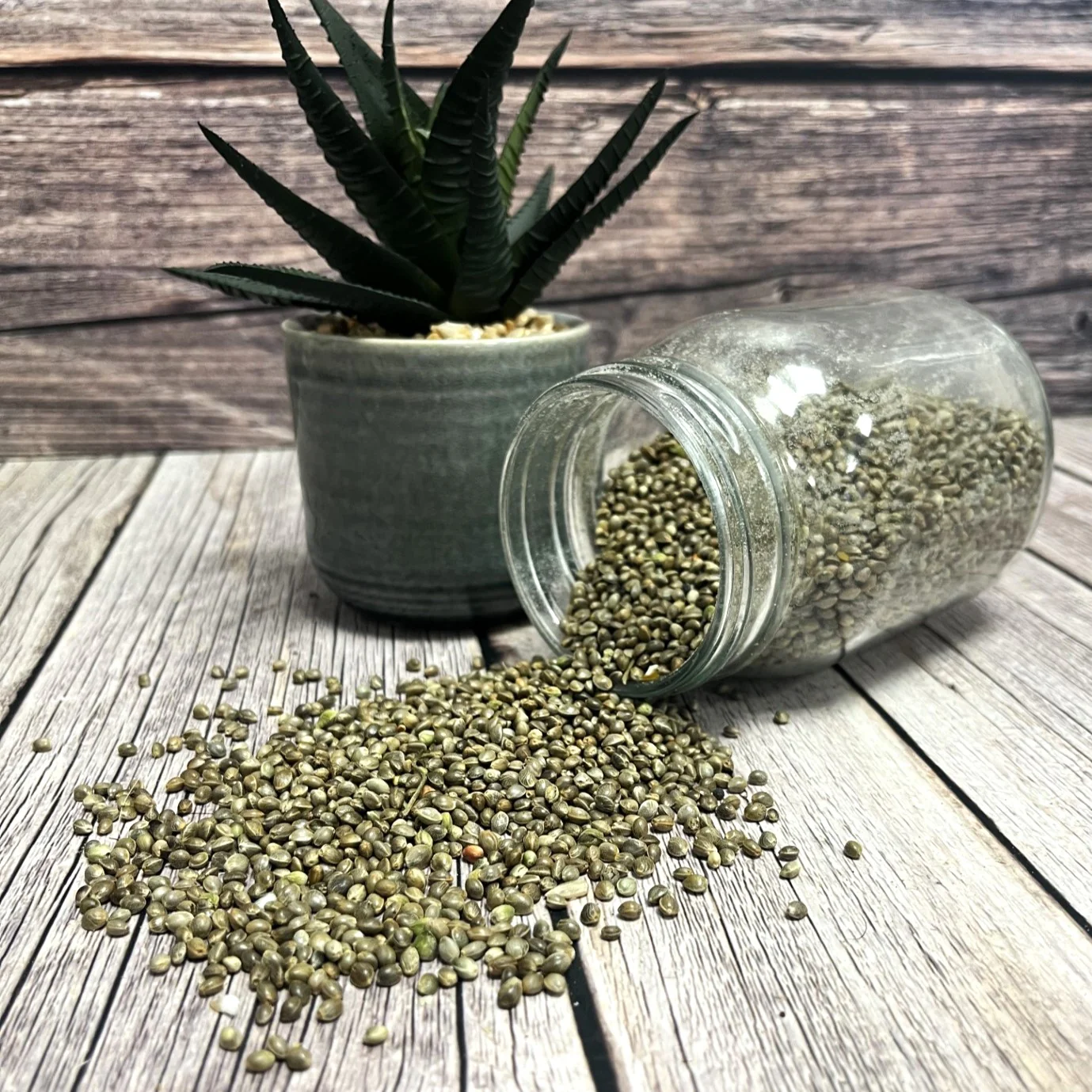 Hemp seed - Image 3