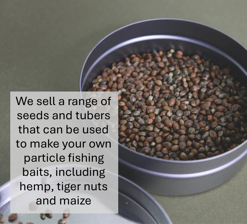 Hemp seed - Image 8