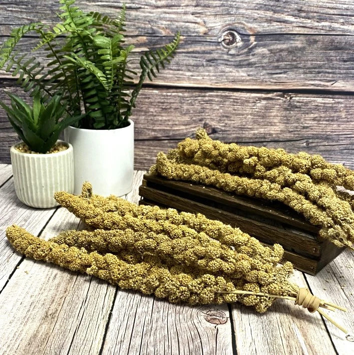 Millet Sprays - Image 4