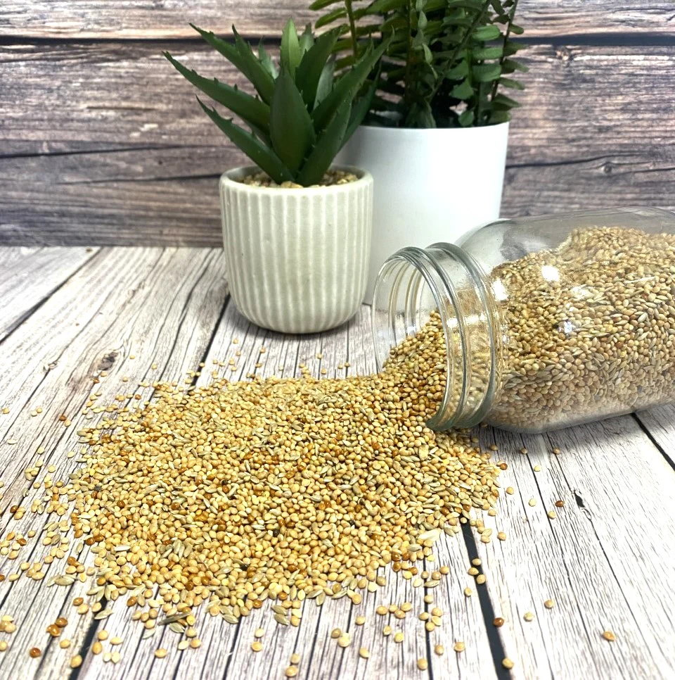 Mixed Budgie Seed - Image 3