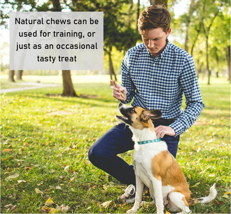 Mixed Bulls' Pizzles - Image 6