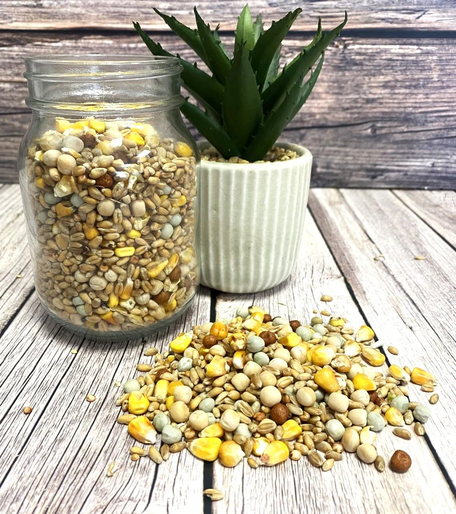 Mixed Pigeon Corn - Image 3