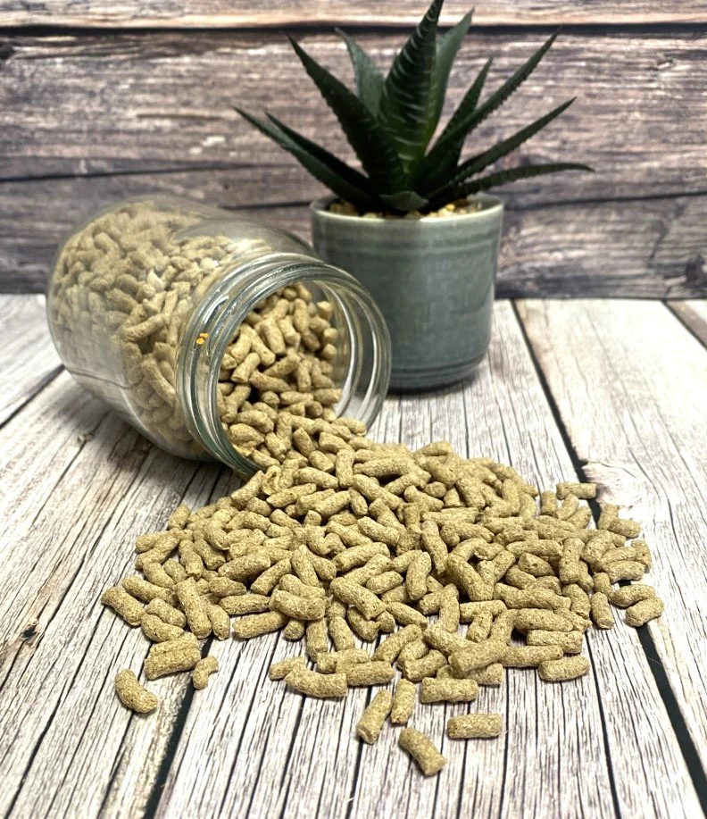 Natural Pond Sticks - Image 3