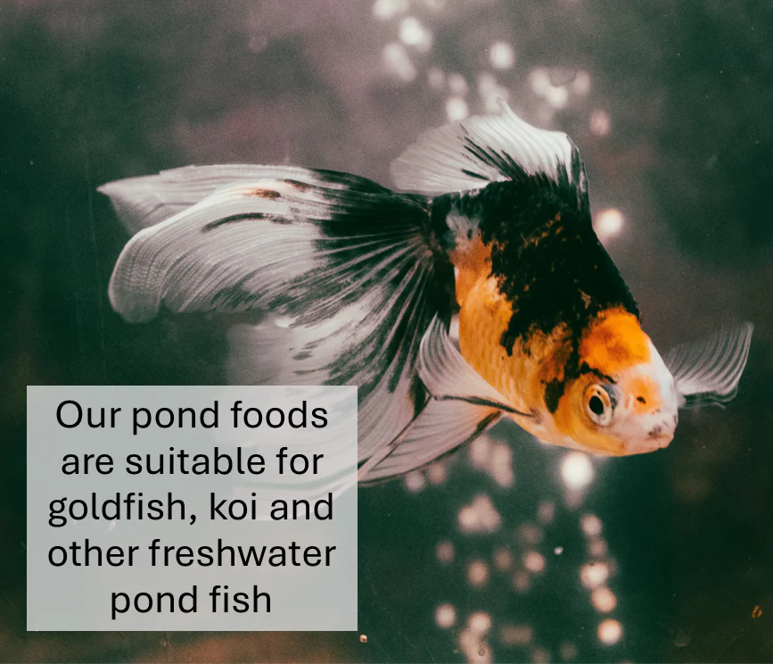 Orange Koi Pond Sticks - Image 6