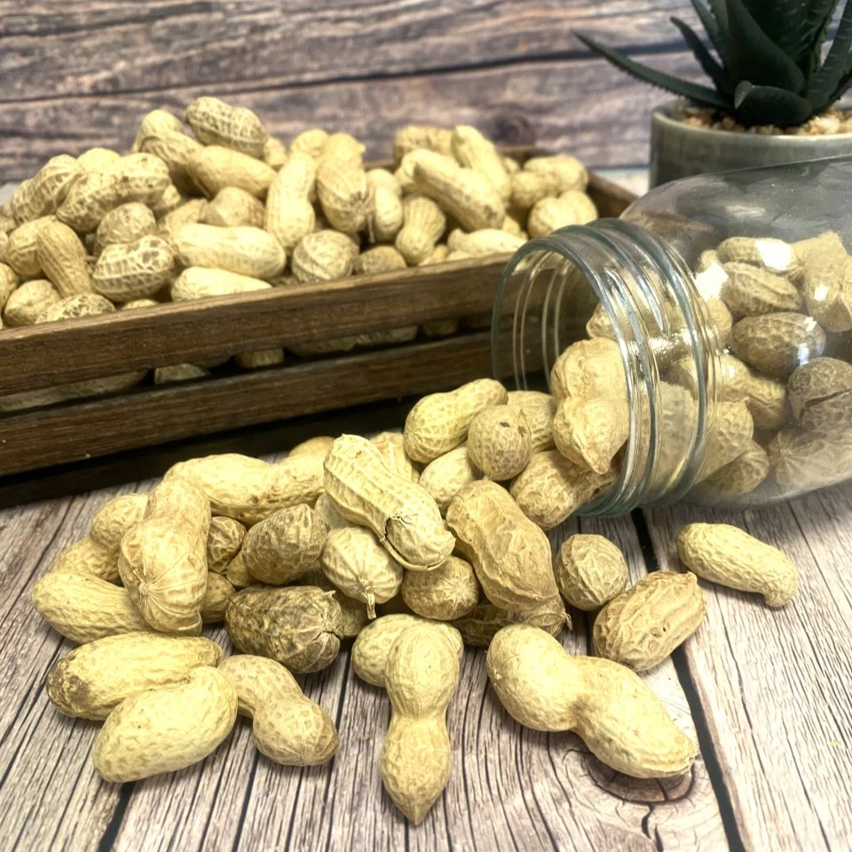 Peanuts in Shell - Image 3