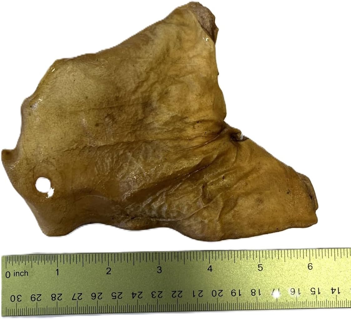 Standard Pigs Ears - Image 3