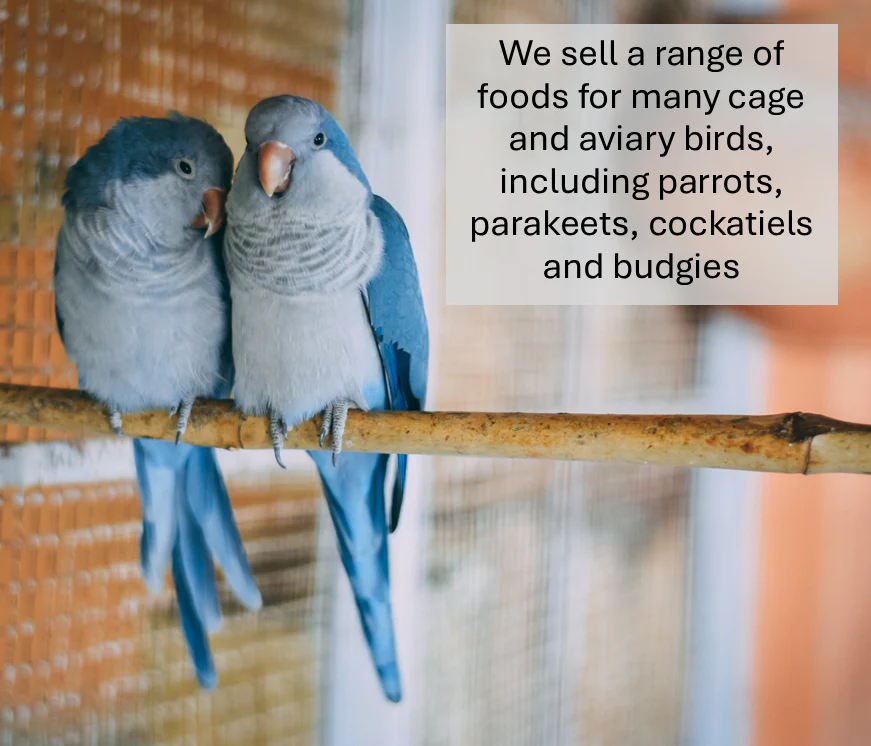 Premium Fruity Parrot Food - Image 5