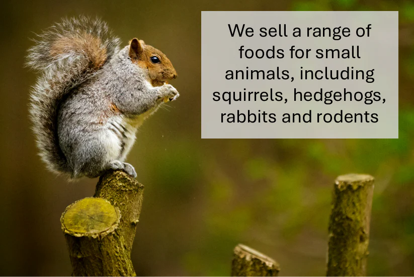 Rat, Mouse, Gerbil and Hamster Food - Image 6