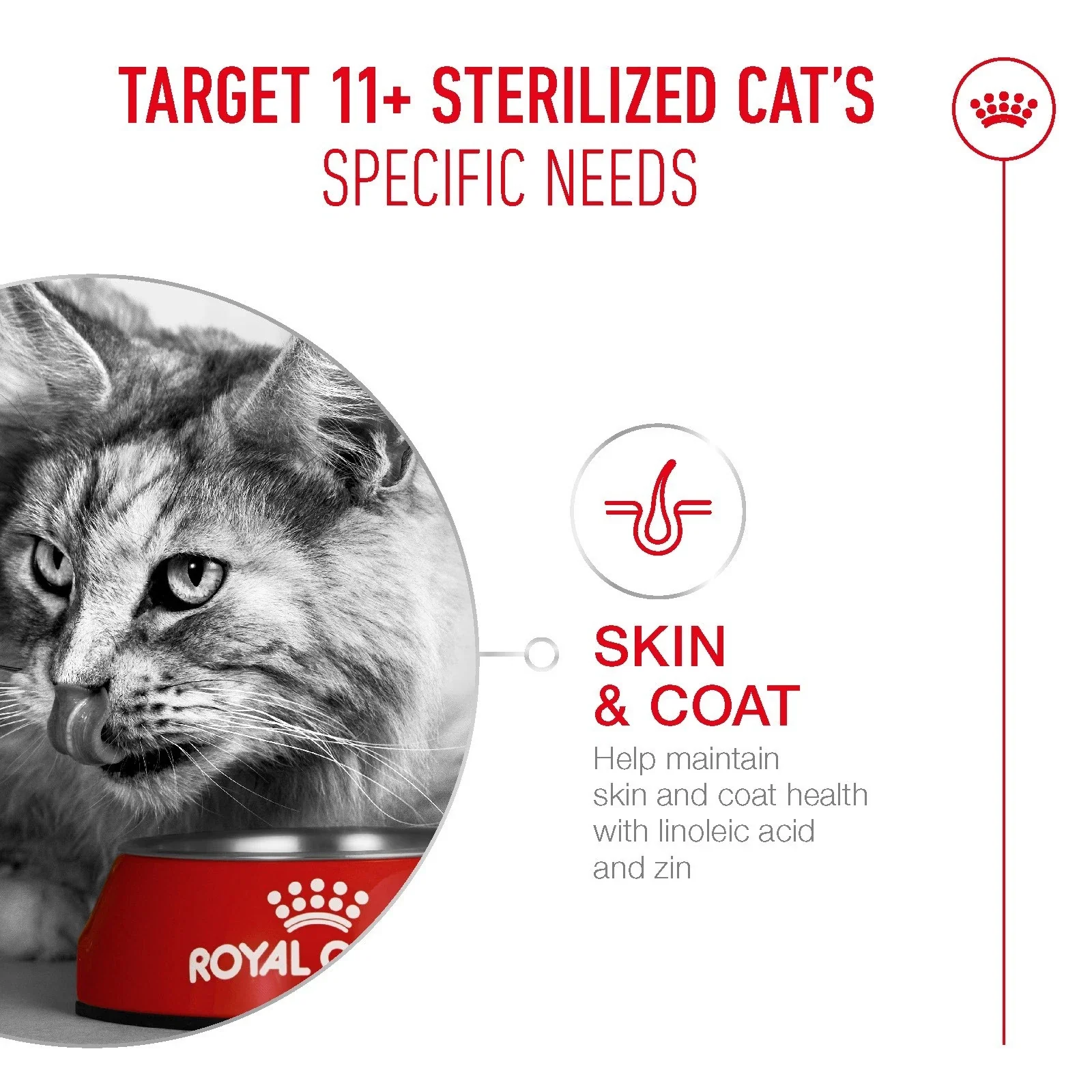 ROYAL CANIN® Ageing Sterilised 11+ Senior Dry Cat Food - Image 3