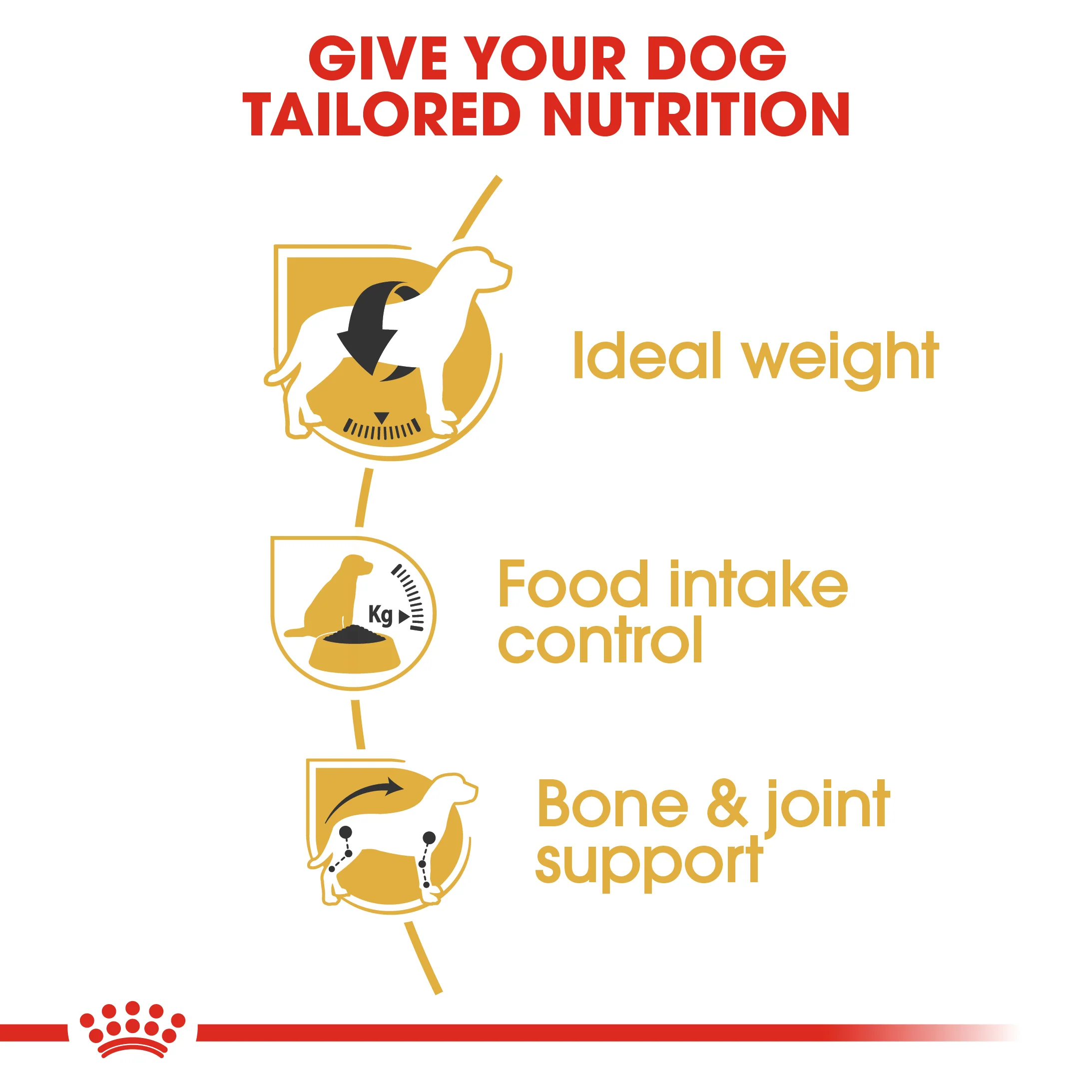 ROYAL CANIN® Beagle Adult - Image 6