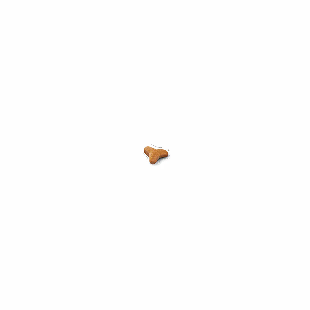 ROYAL CANIN® Bengal Adult Dry Cat Food - Image 3