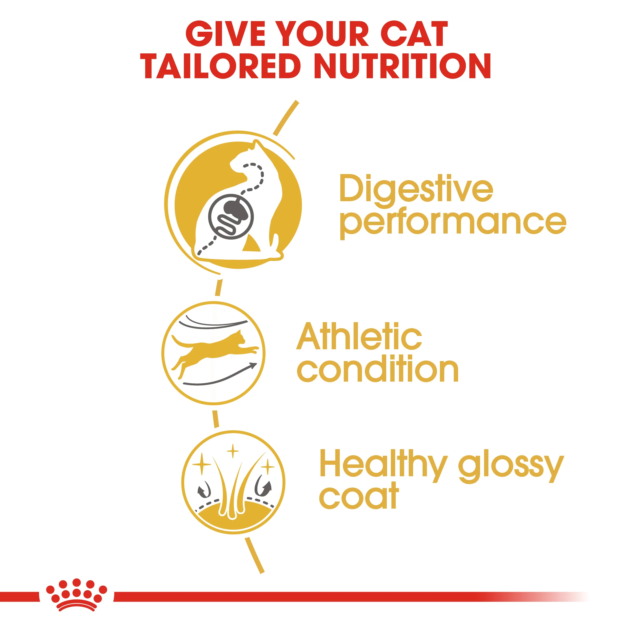 ROYAL CANIN® Bengal Adult Dry Cat Food - Image 6