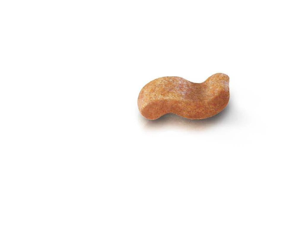 ROYAL CANIN® Boxer Adult Dry Dog Food - Image 4