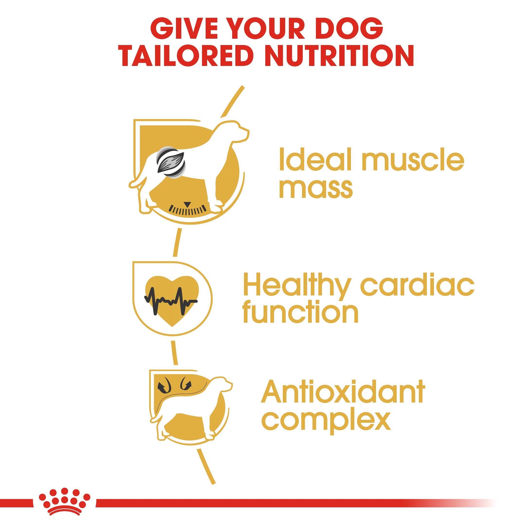 ROYAL CANIN® Boxer Adult Dry Dog Food - Image 6