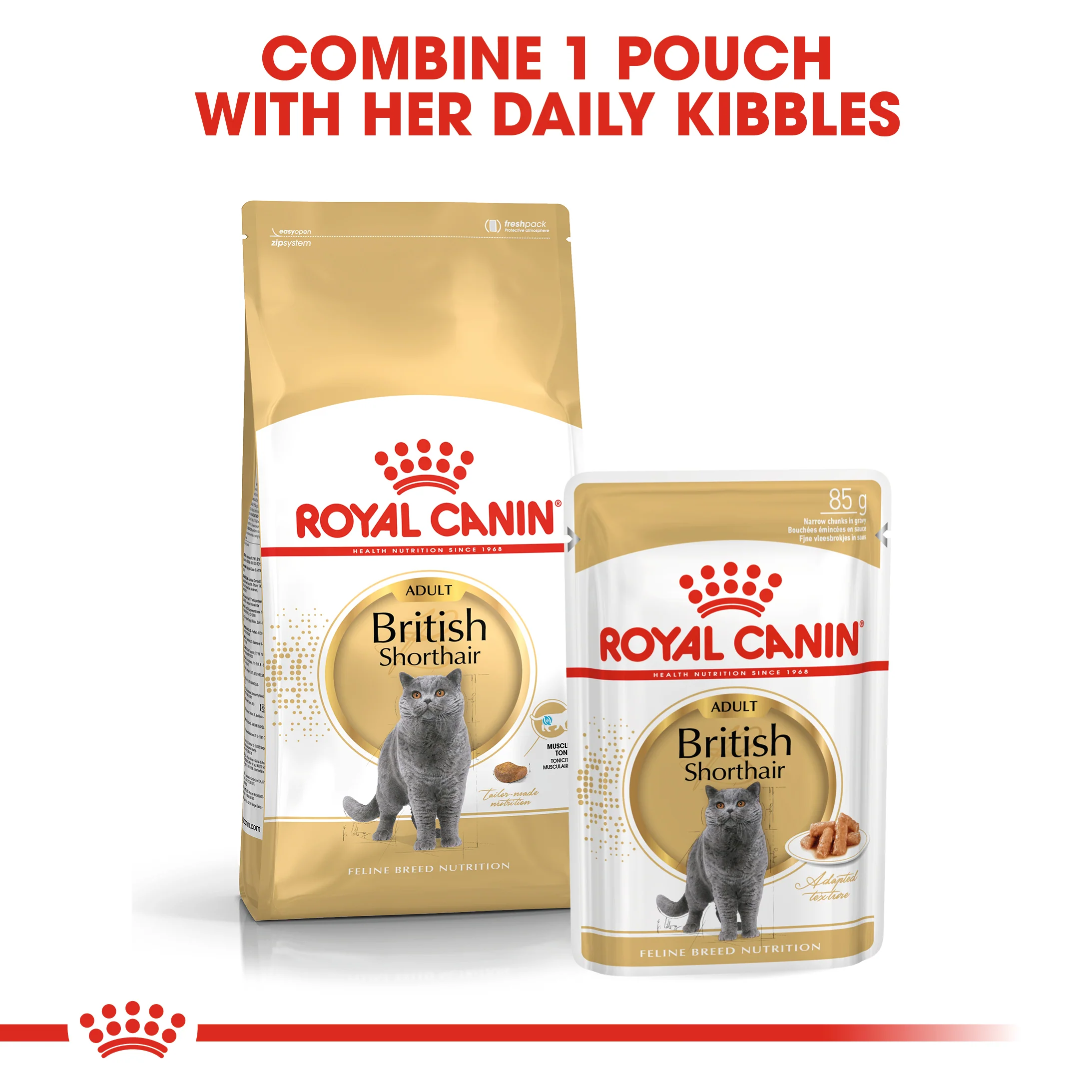 ROYAL CANIN® British Shorthair Adult Dry Cat Food - Image 10