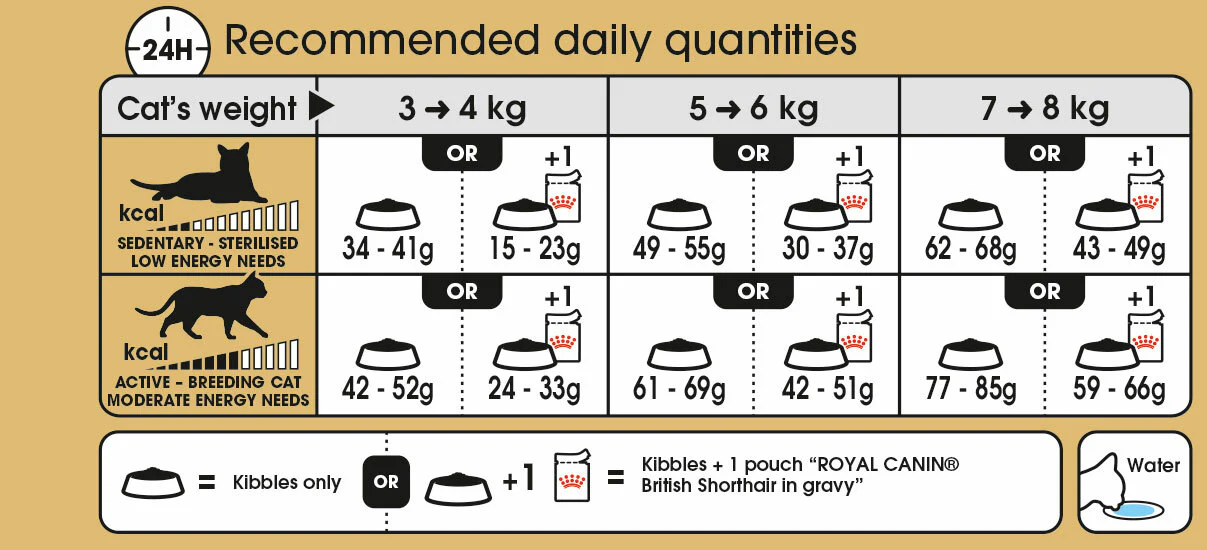 ROYAL CANIN® British Shorthair Adult Dry Cat Food - Image 4
