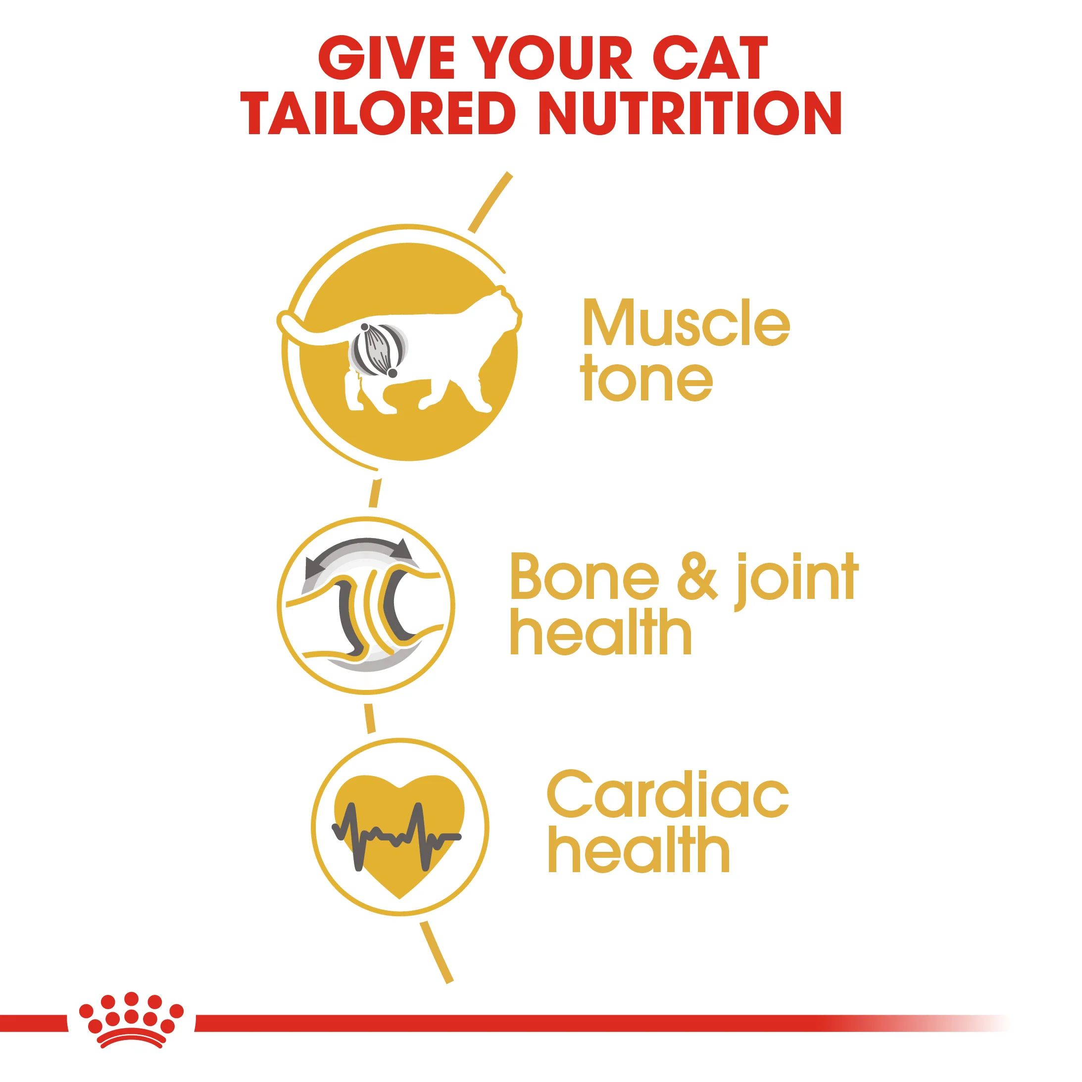 ROYAL CANIN® British Shorthair Adult Dry Cat Food - Image 6
