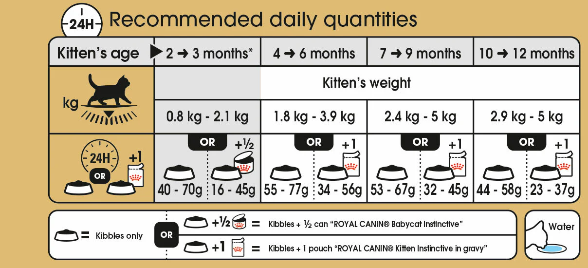 ROYAL CANIN® British Shorthair Kitten Dry Food - Image 4