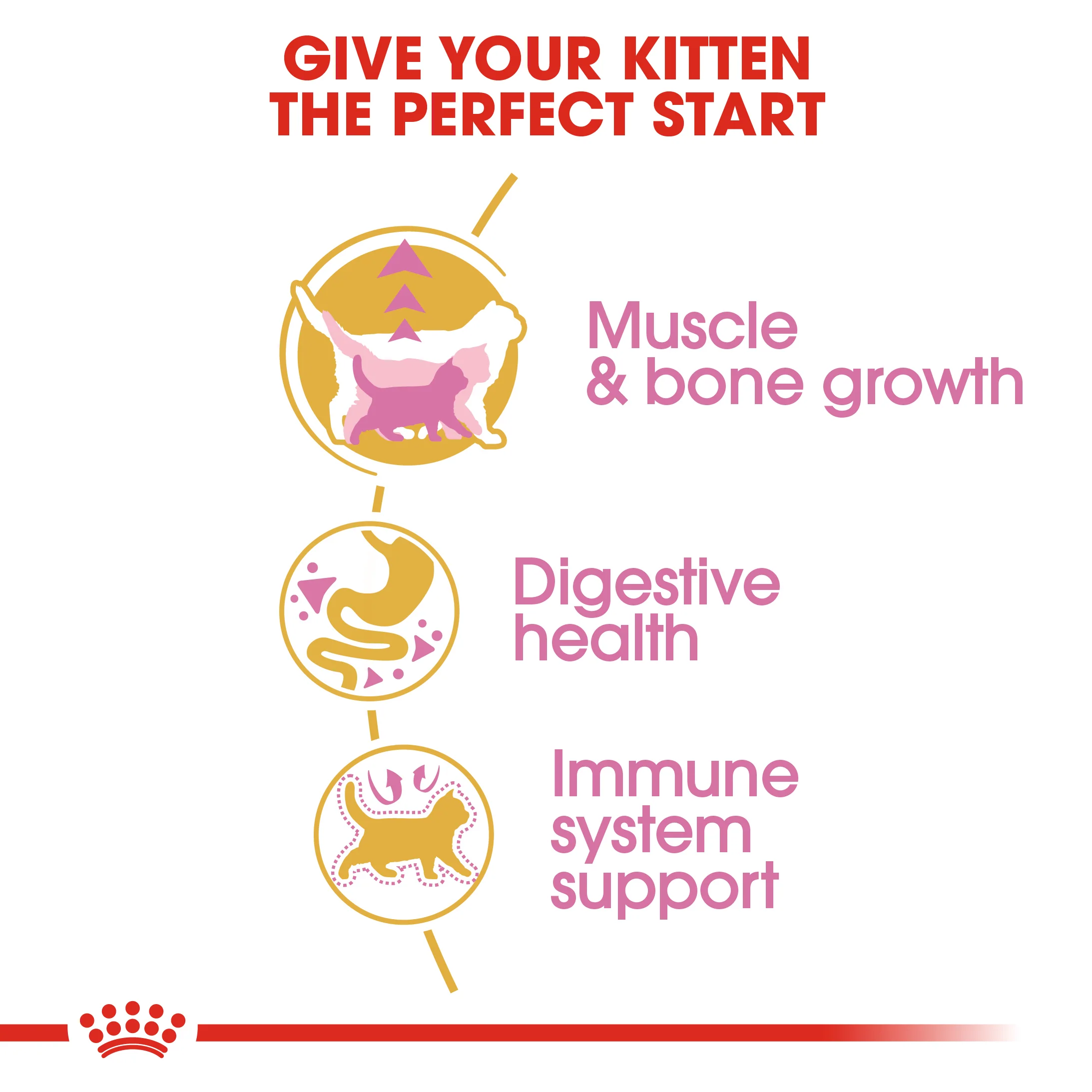 ROYAL CANIN® British Shorthair Kitten Dry Food - Image 6