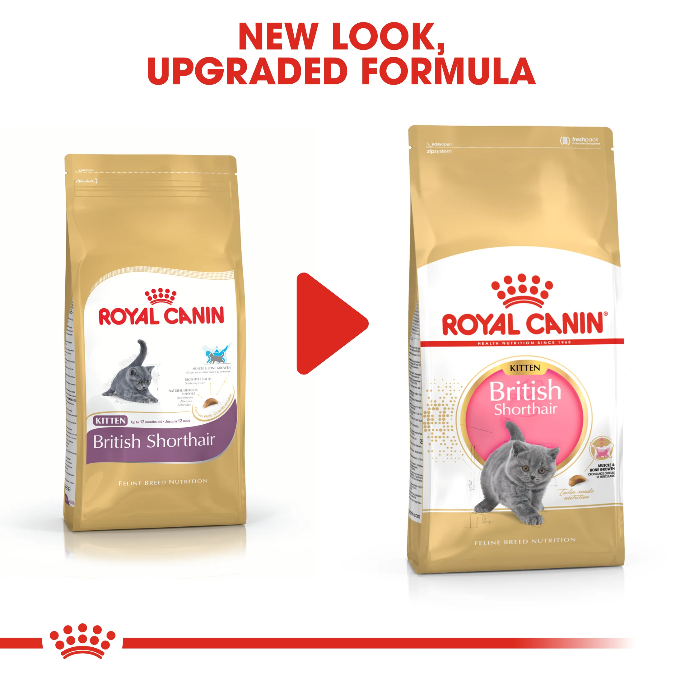 ROYAL CANIN® British Shorthair Kitten Dry Food - Image 7