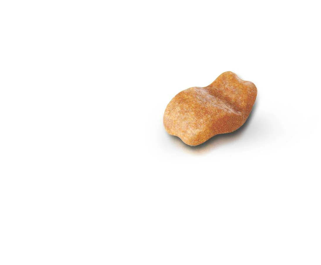 ROYAL CANIN® Bulldog Adult Dry Dog Food - Image 3
