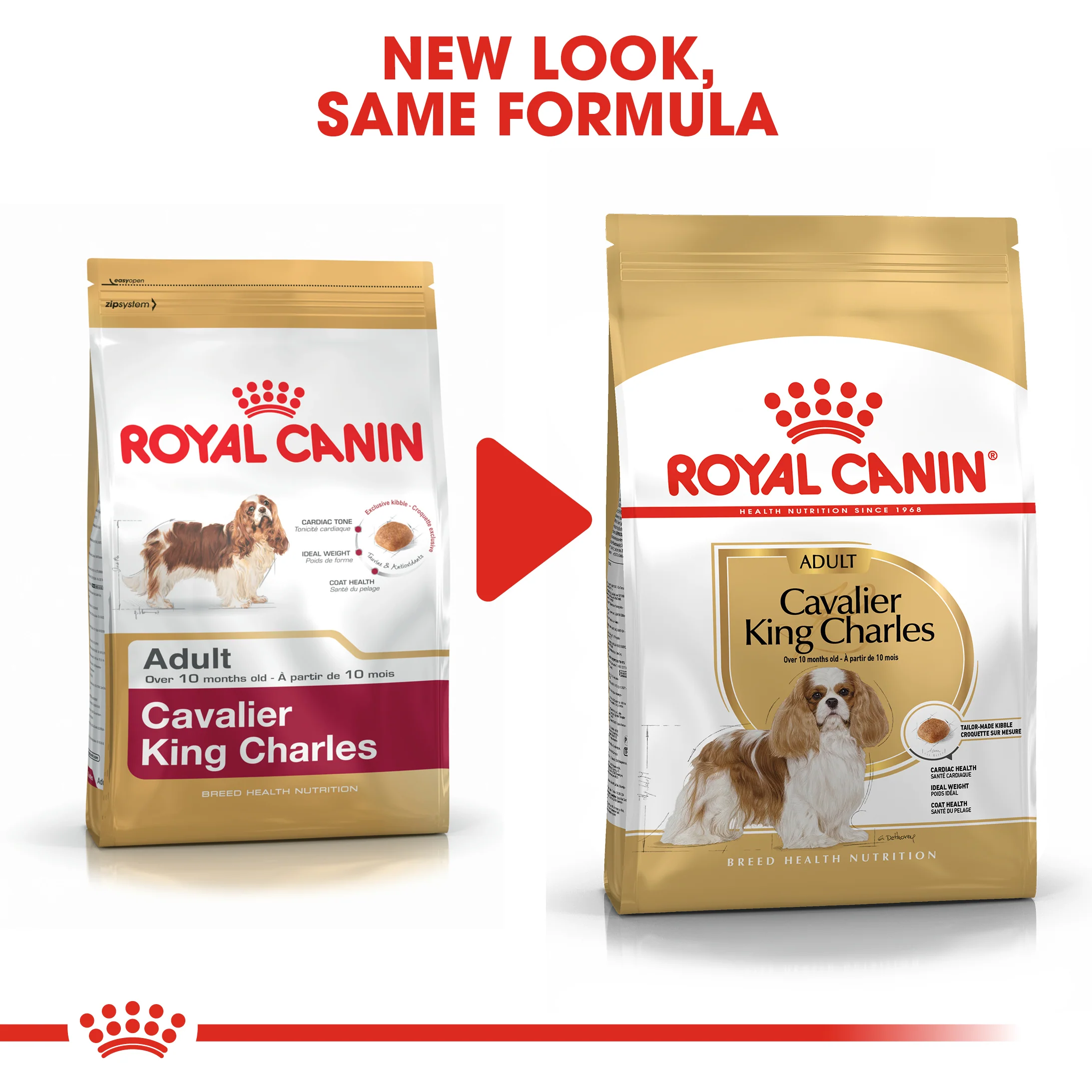 ROYAL CANIN® Cavalier King Charles Adult Dry Dog Food - Image 10