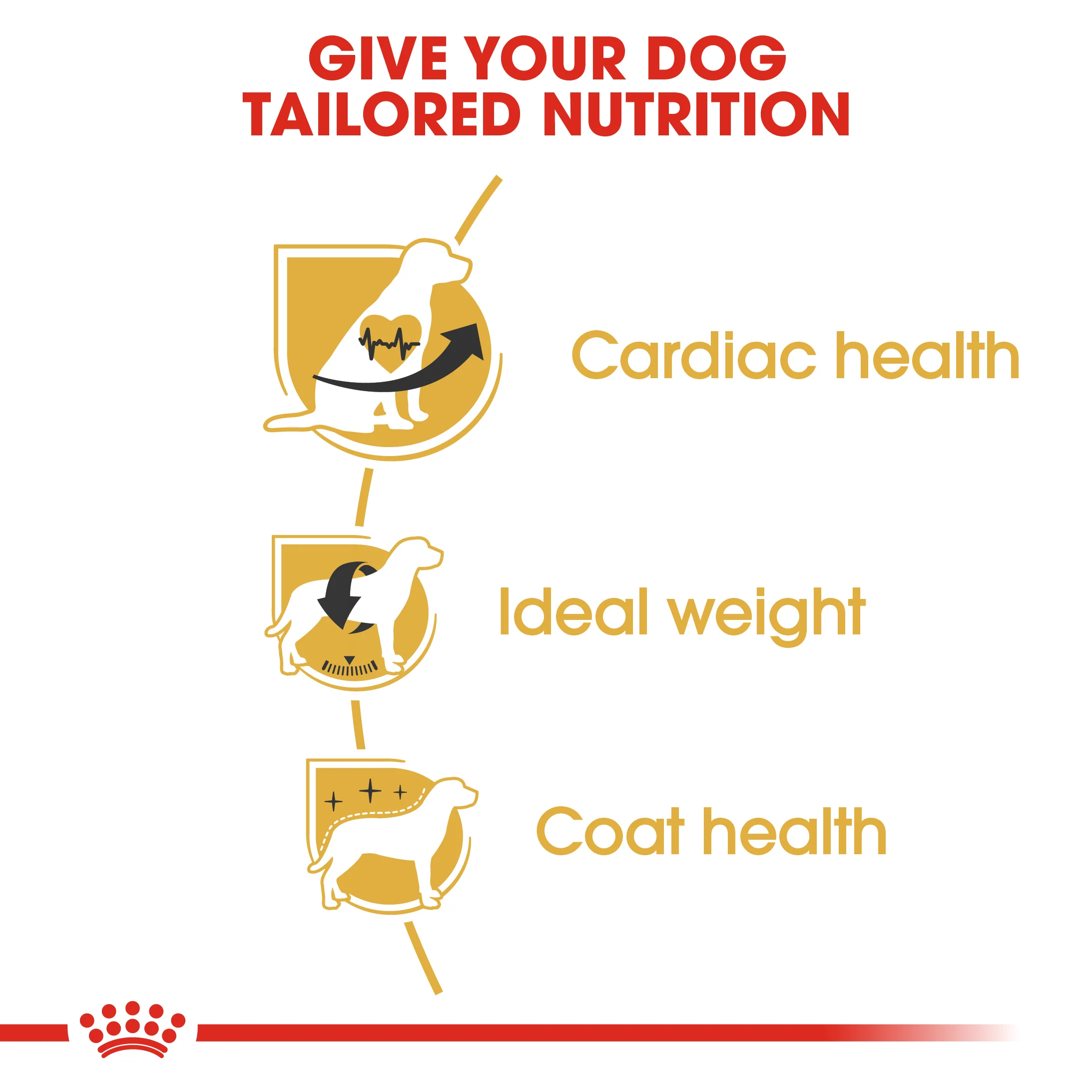 ROYAL CANIN® Cavalier King Charles Adult Dry Dog Food - Image 6