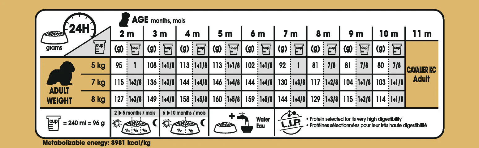 ROYAL CANIN® Cavalier King Charles Puppy Dry Food - Image 3