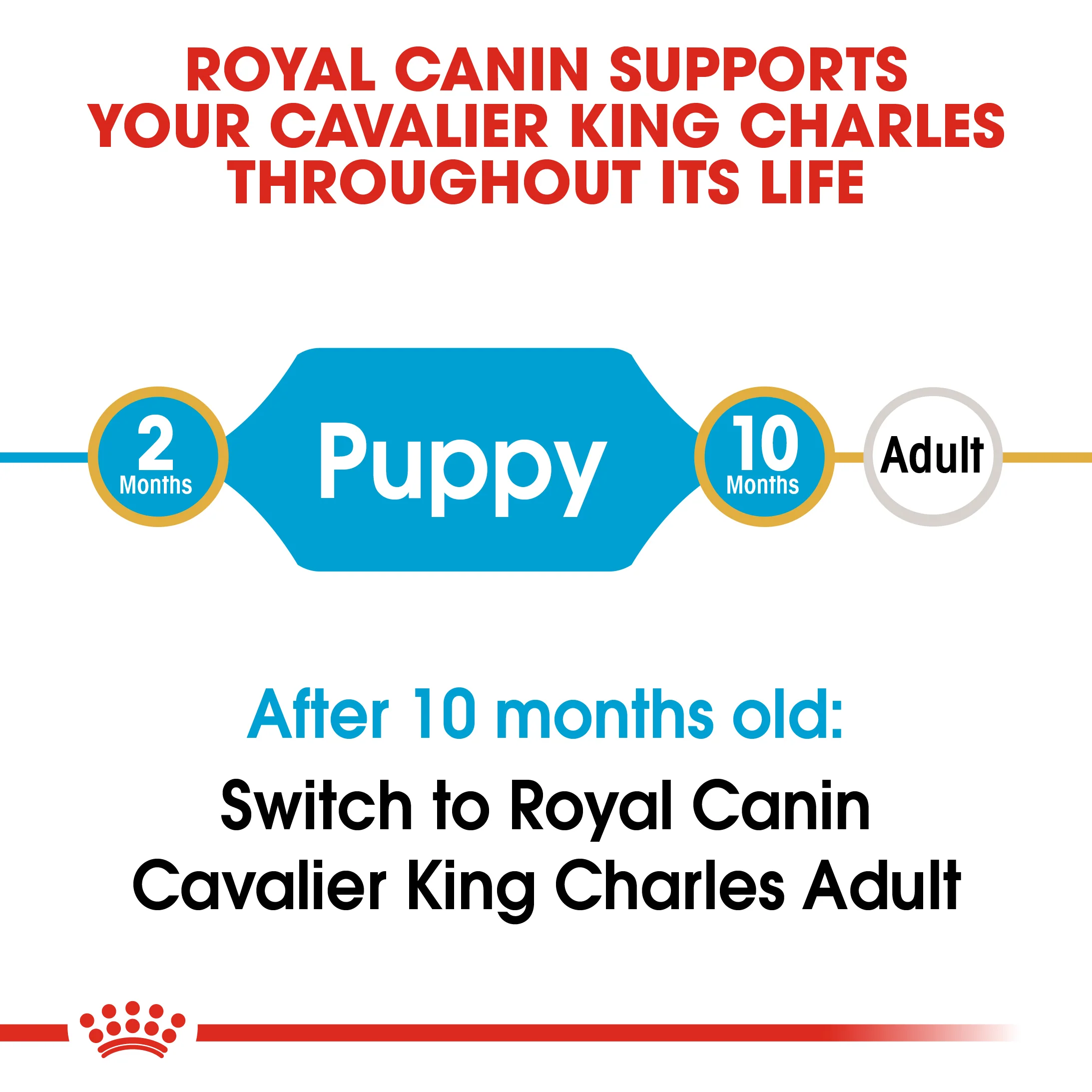 ROYAL CANIN® Cavalier King Charles Puppy Dry Food - Image 6