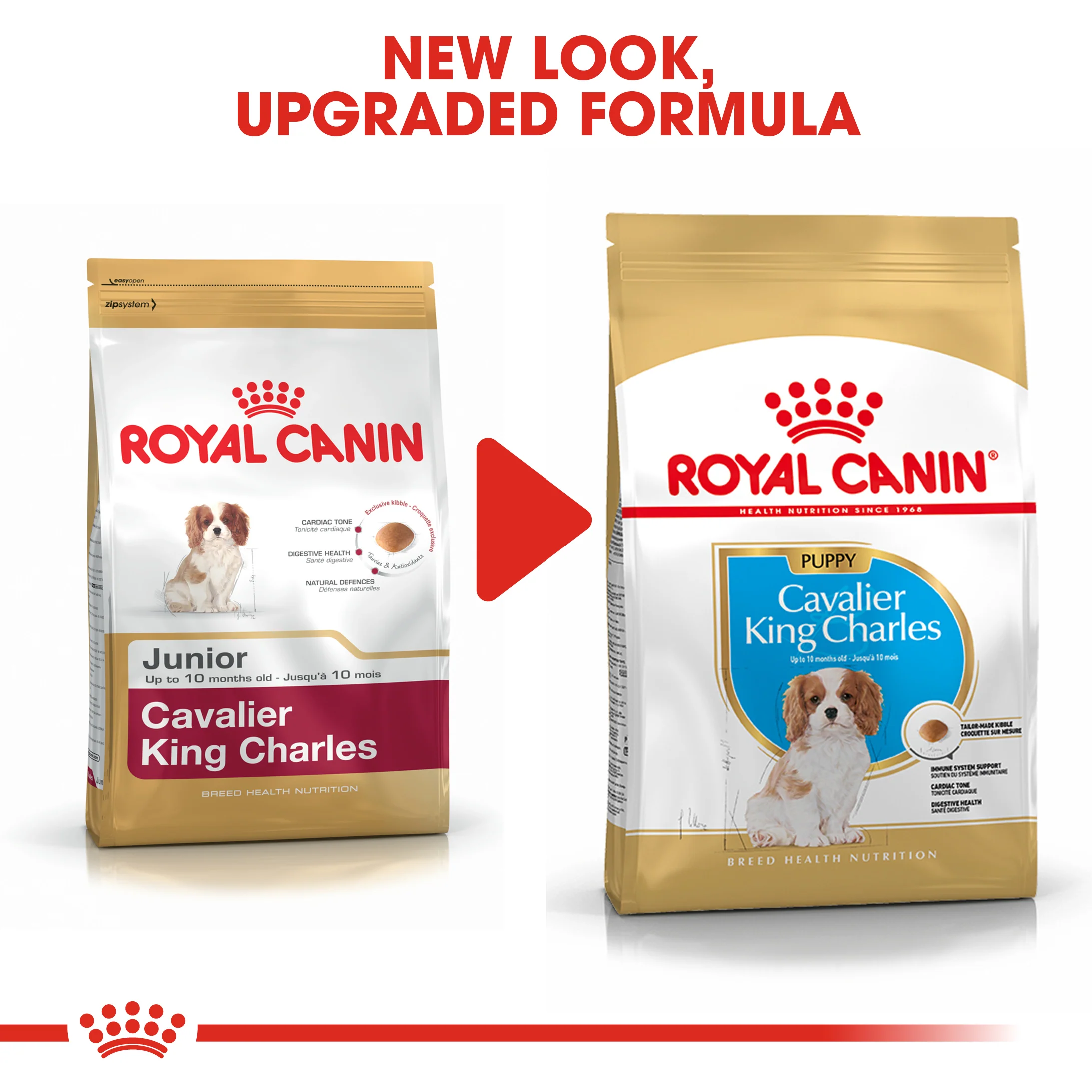 ROYAL CANIN® Cavalier King Charles Puppy Dry Food - Image 9