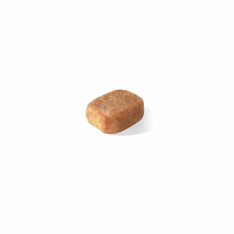 ROYAL CANIN® Chihuahua Adult Dry Dog Food - Image 4
