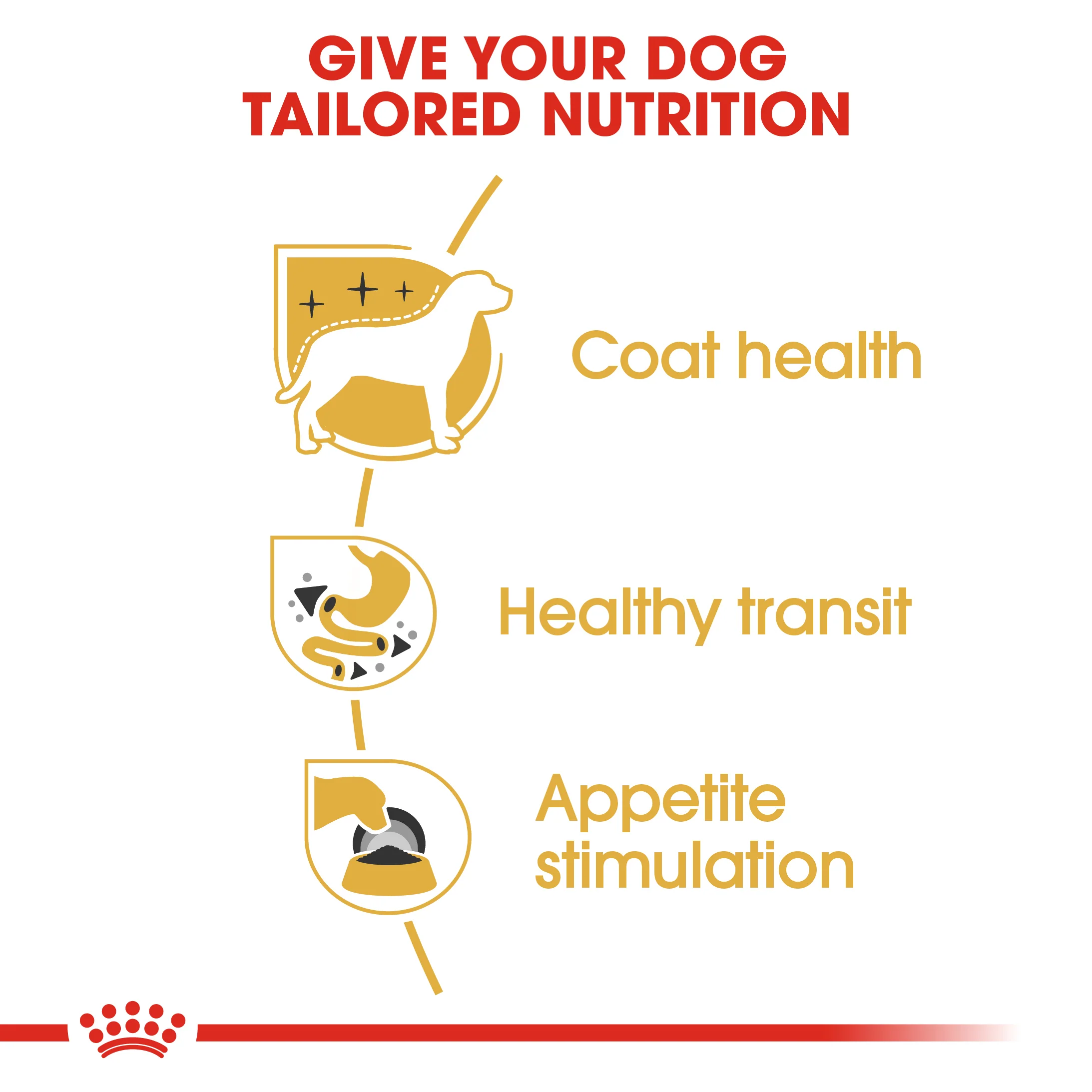 ROYAL CANIN® Chihuahua Adult Wet Dog Food - Image 6