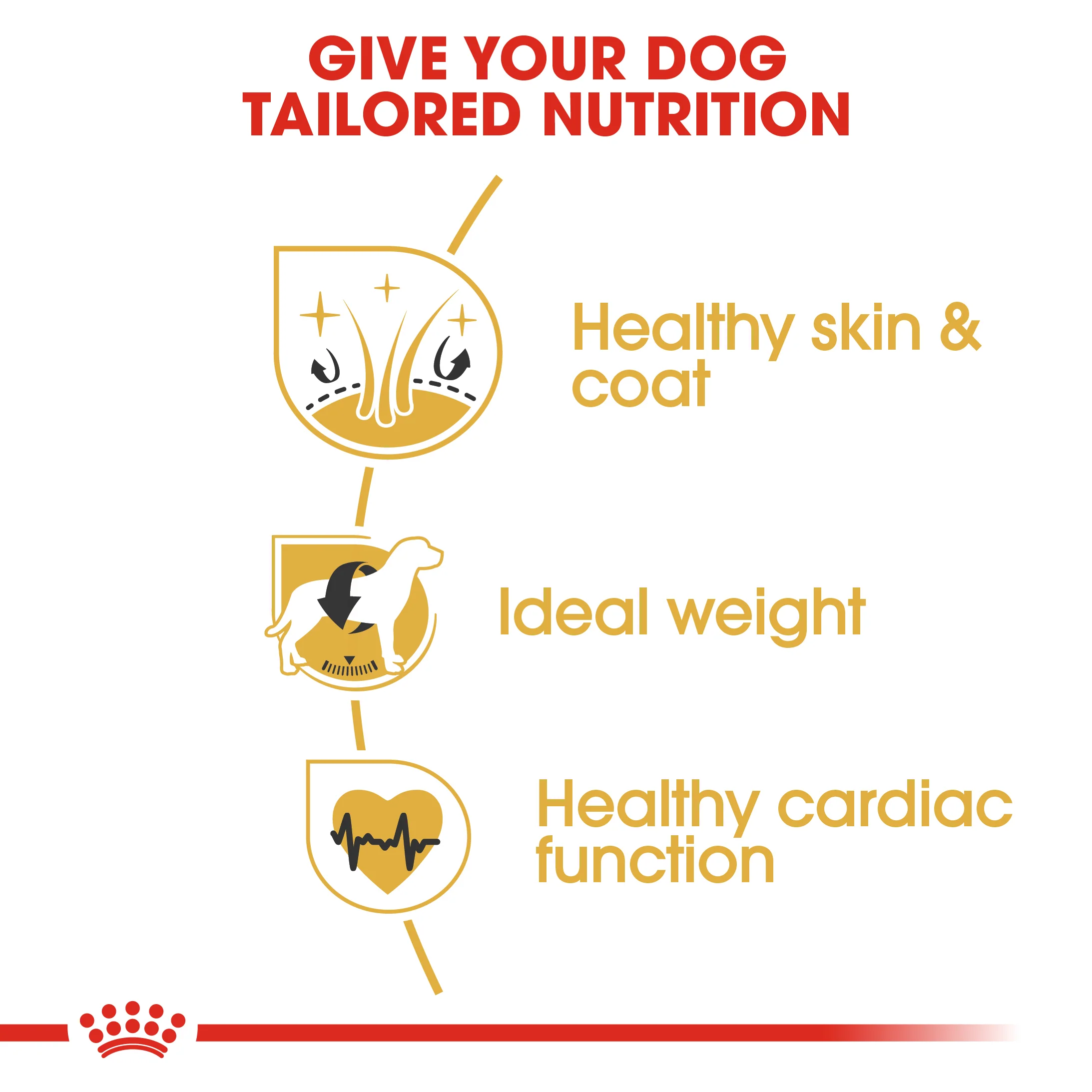 ROYAL CANIN® Cocker Adult Dry Dog Food - Image 6