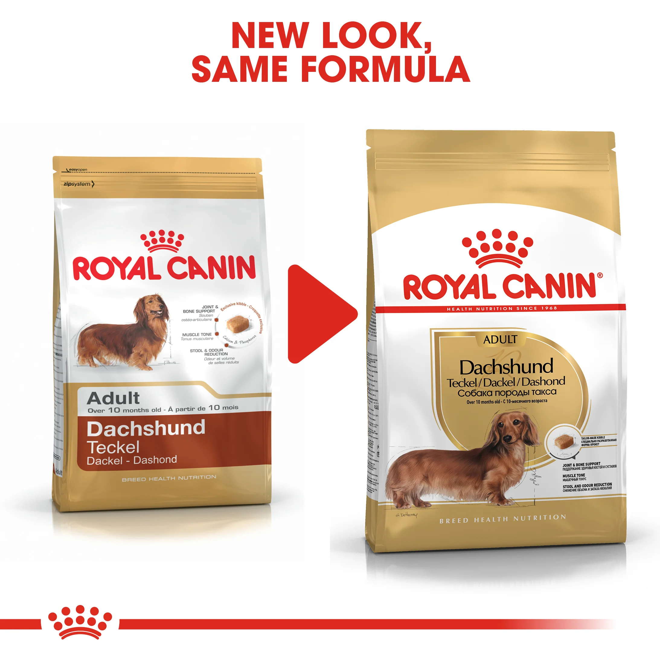 ROYAL CANIN® Dachshund Adult Dry Dog Food - Image 10