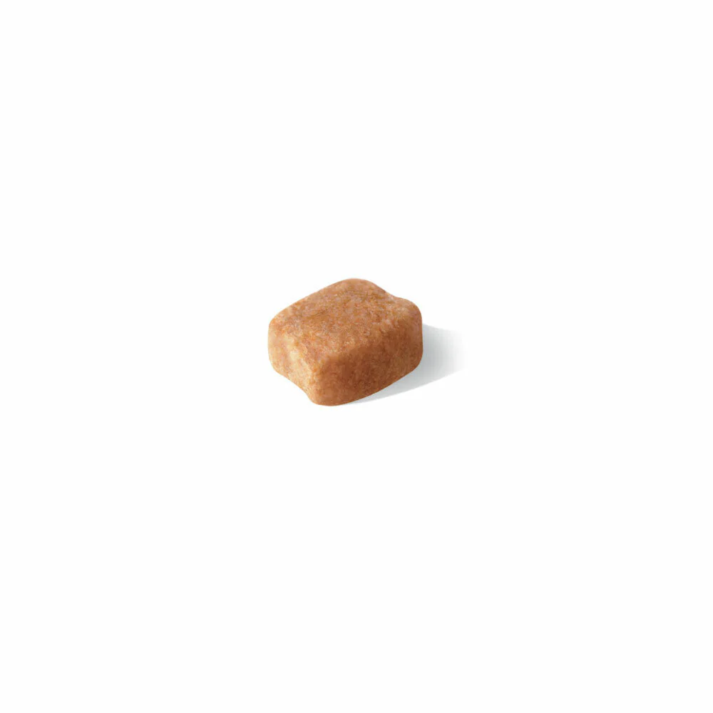 ROYAL CANIN® Dachshund Adult Dry Dog Food - Image 3