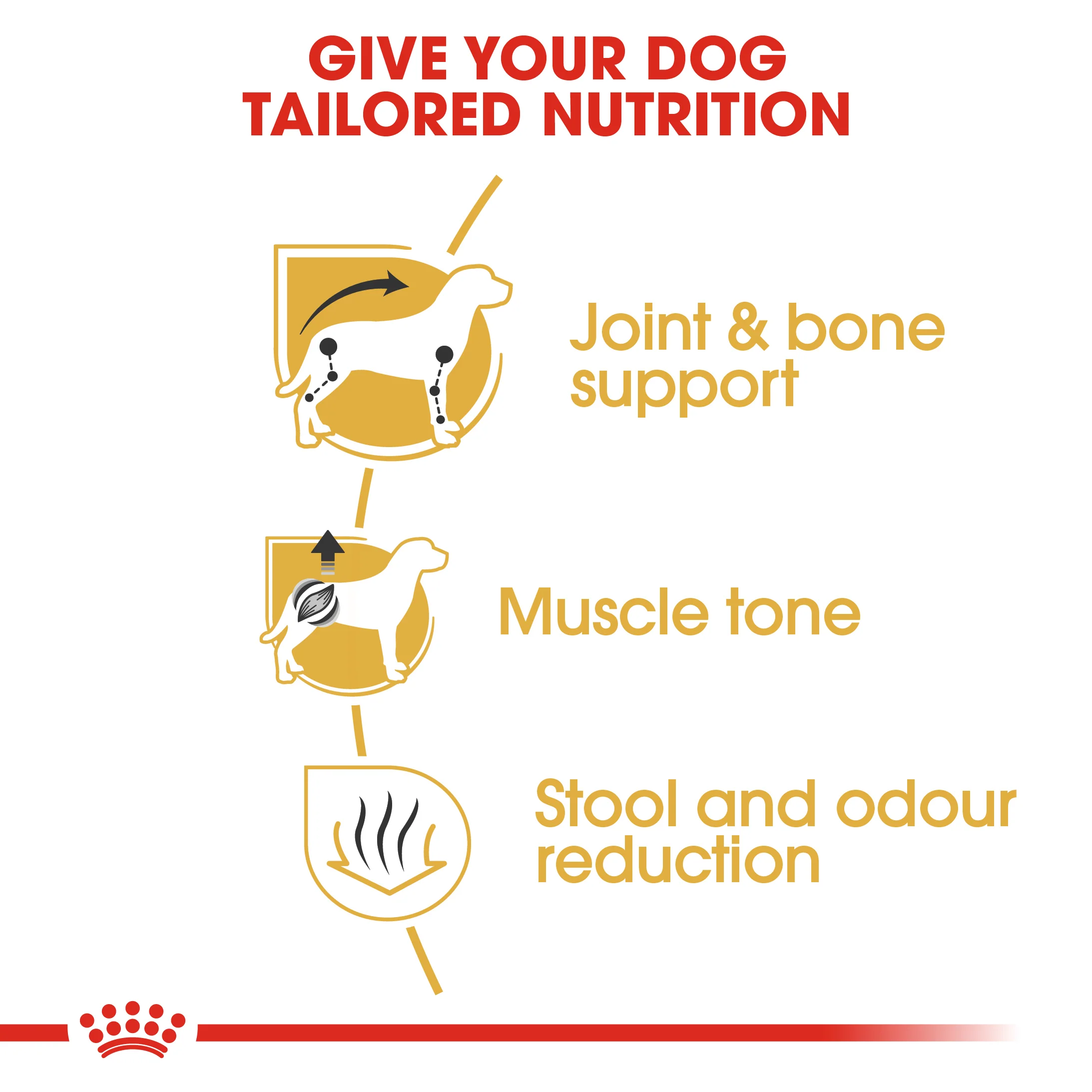ROYAL CANIN® Dachshund Adult Dry Dog Food - Image 6