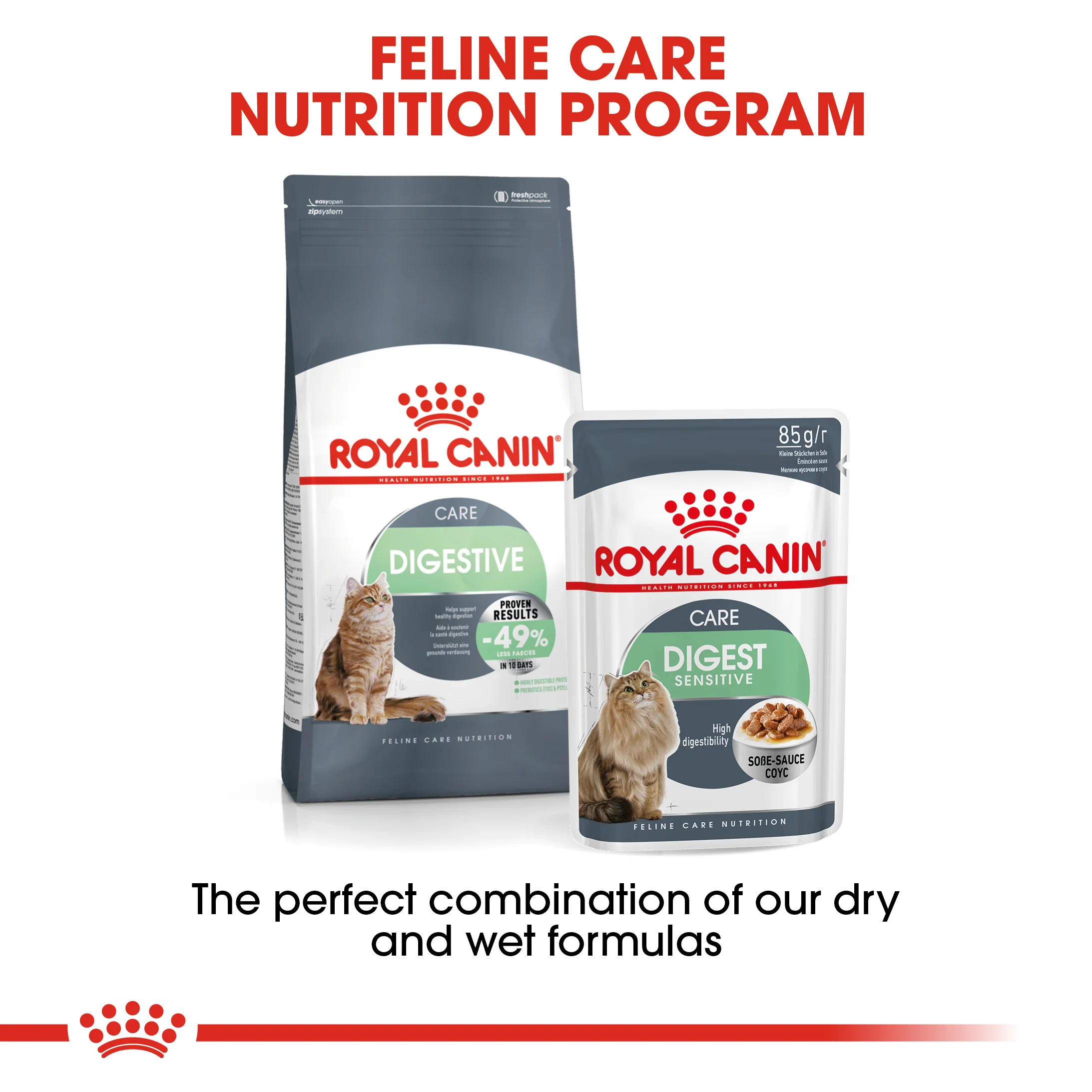 ROYAL CANIN® Digestive Care Adult Dry Cat Food - Image 10